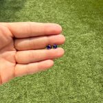 Aretes Solitario De Zafiro